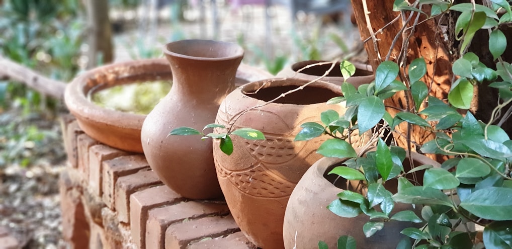 A group of terracotta pots and vessels are arranged on a brick surface in a natural outdoor setting. The earthy tones of the pots contrast with green leaves from surrounding plants. The environment appears rustic and serene, with soft lighting and a background of blurred foliage.