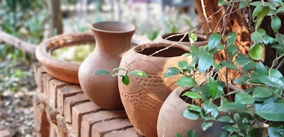 A group of terracotta pots and vessels are arranged on a brick surface in a natural outdoor setting. The earthy tones of the pots contrast with green leaves from surrounding plants. The environment appears rustic and serene, with soft lighting and a background of blurred foliage.