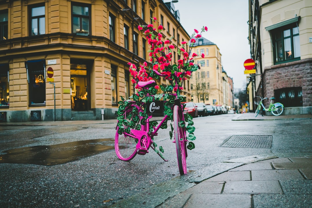 pink floral bike parked near building during daytime