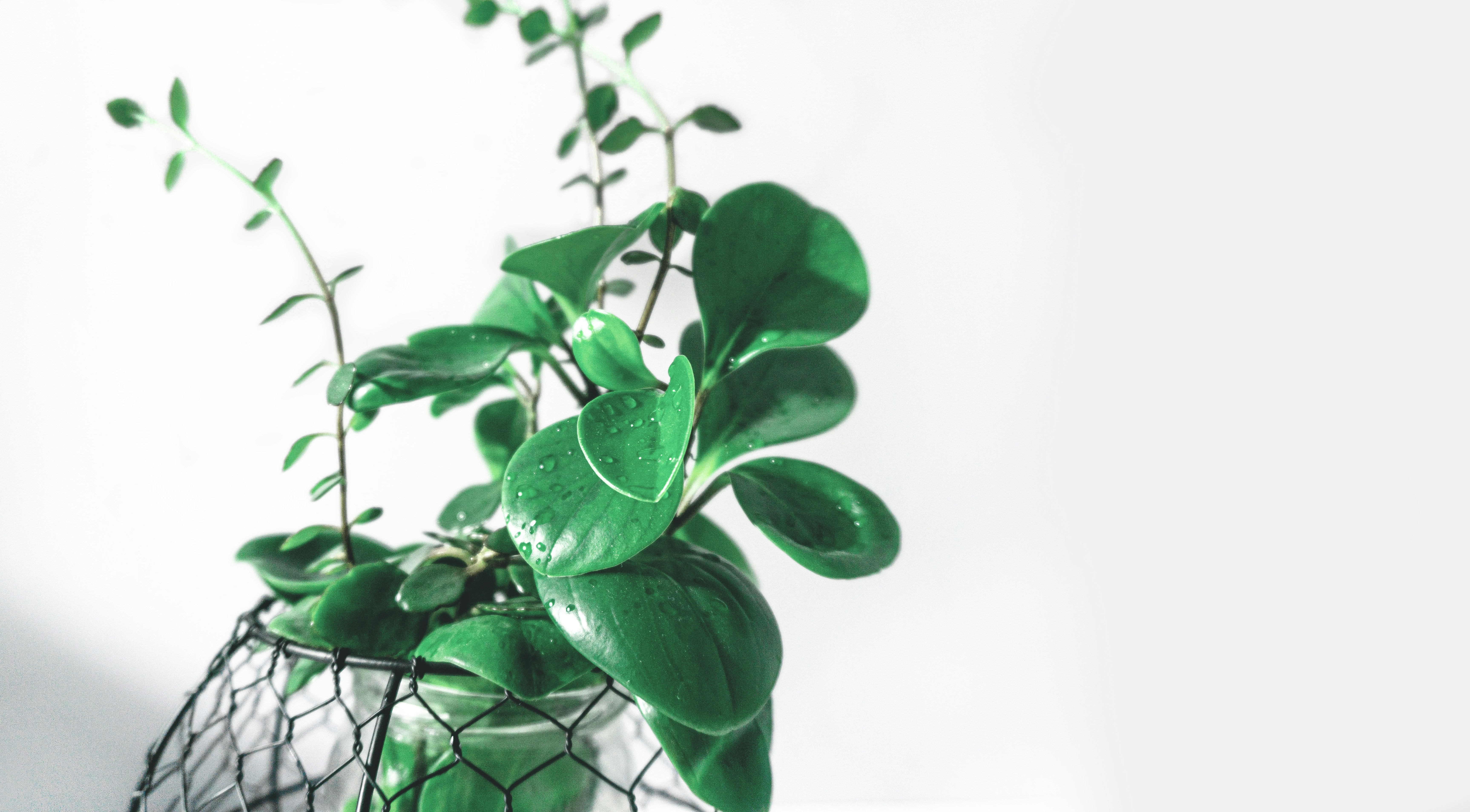 Photo by matt_wojtas