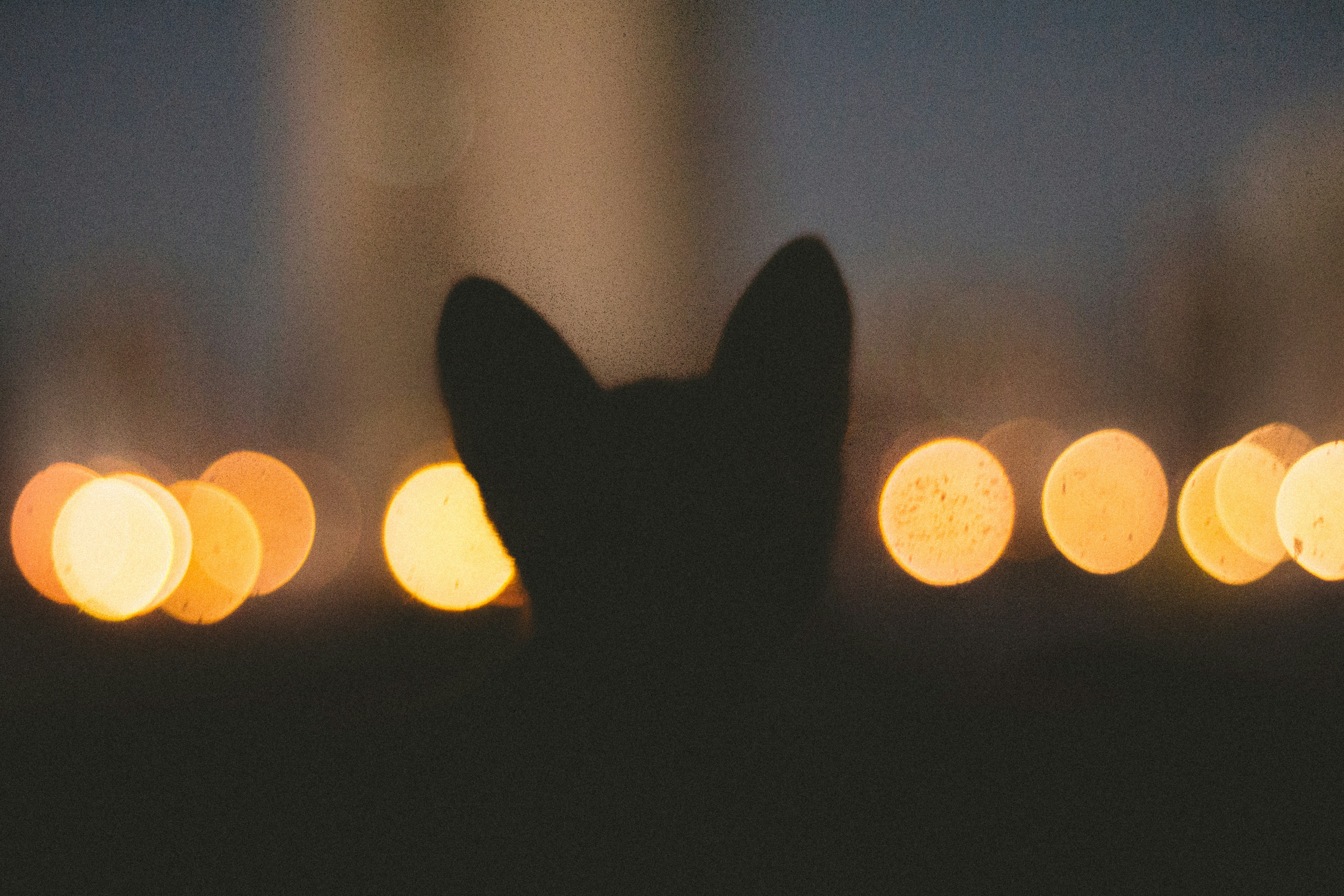 PPP After Dark Playoffs Day #3: because at least we can laugh at other teams losing too