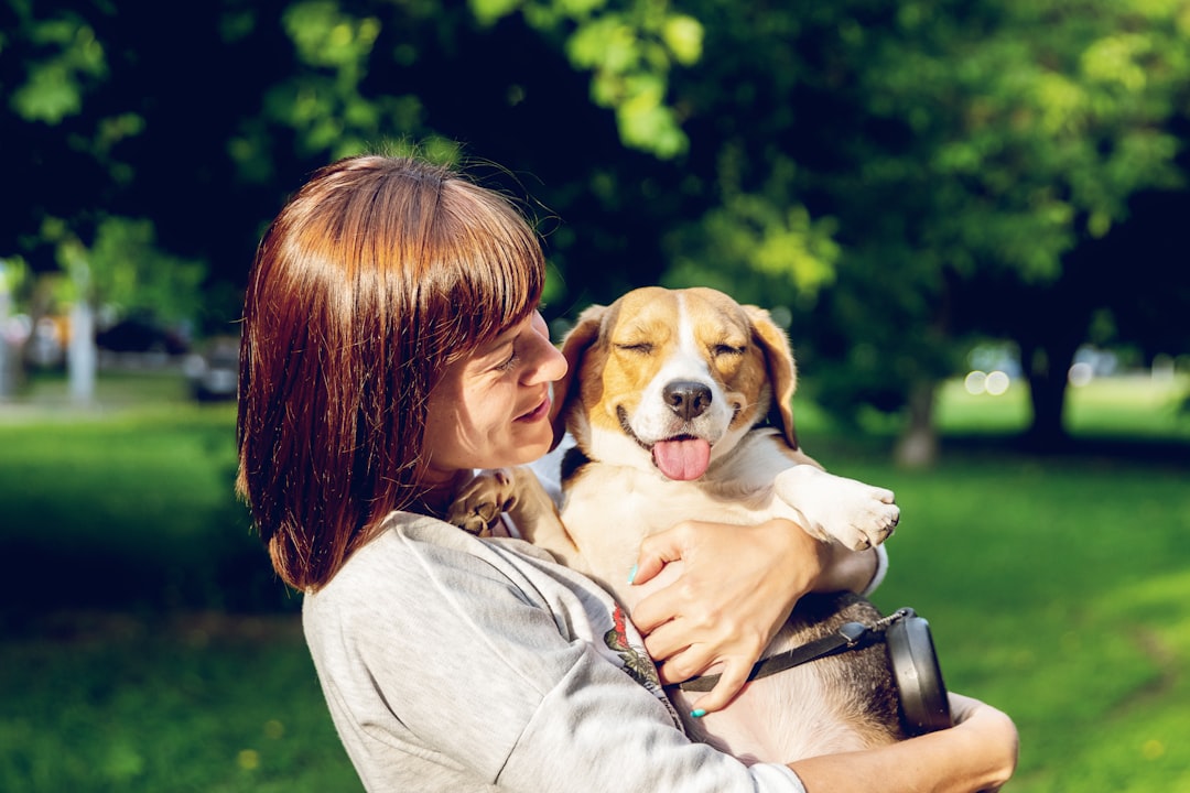 smiling woman standing and carrying short-coated brown and white dog in green field surrounded with tall and green trees