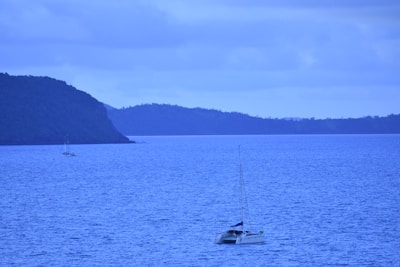 A large body of water extends to the horizon with a catamaran sailing in the foreground. A distant island with lush greenery is visible under a cloudy sky, creating a serene maritime atmosphere.