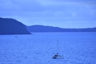 A large body of water extends to the horizon with a catamaran sailing in the foreground. A distant island with lush greenery is visible under a cloudy sky, creating a serene maritime atmosphere.