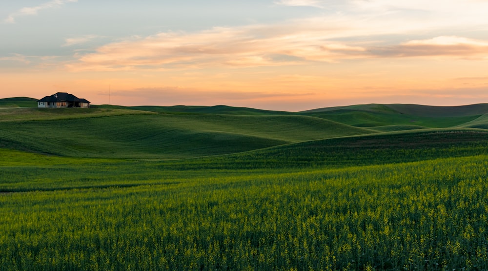 campo di erba verde sotto carta da parati cielo nuvoloso