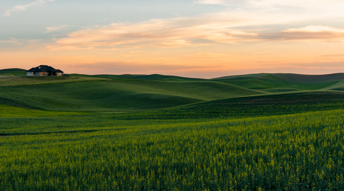 Green farmland field landscape