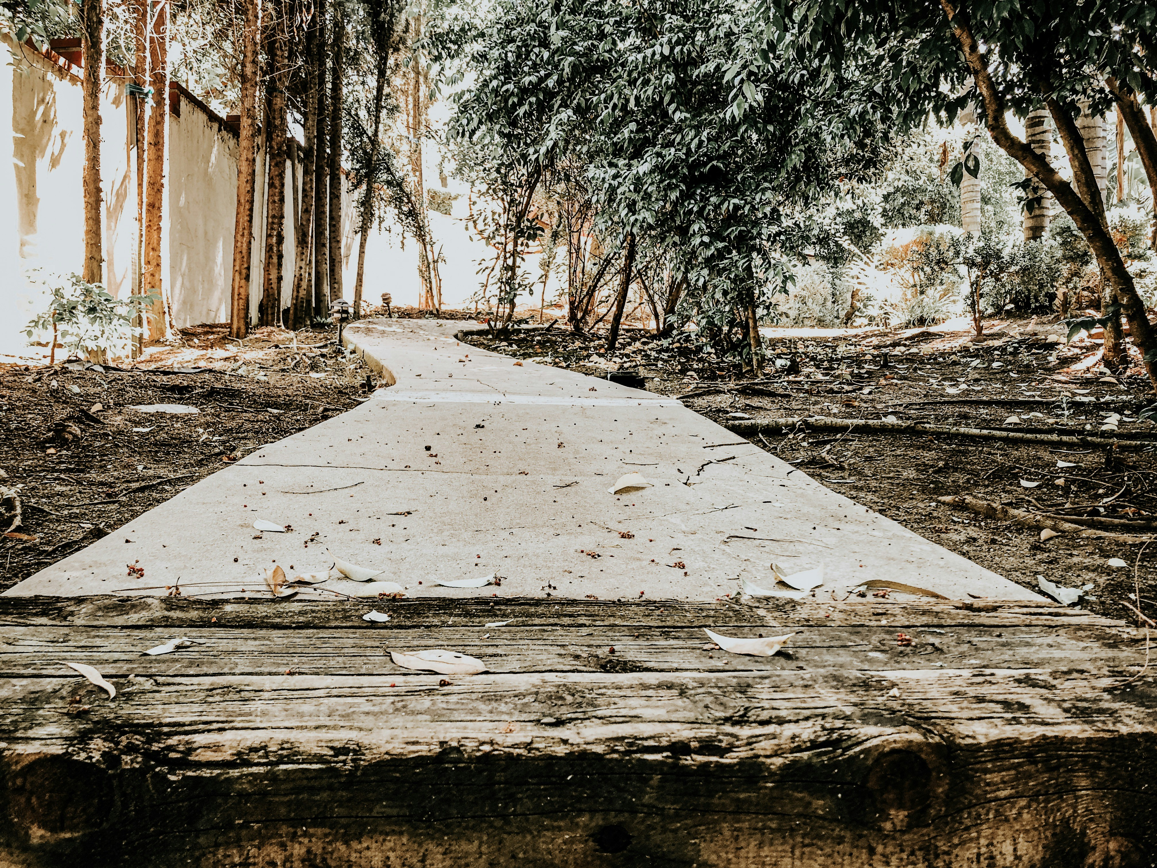 Photo by christopherstark