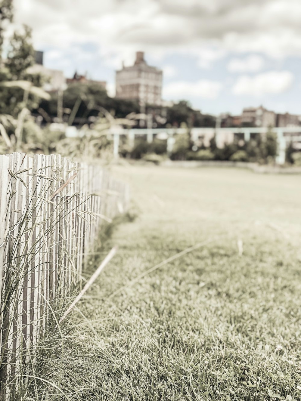 green grass field during daytime