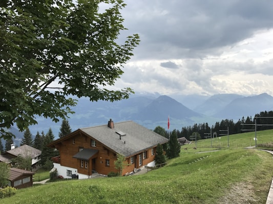 A rustic wooden chalet is situated on a lush green hillside, surrounded by evergreen trees with mountains in the distance under a cloudy sky. A tall tree on the left frames the scene, and a red flag adds a pop of color in front of the house.