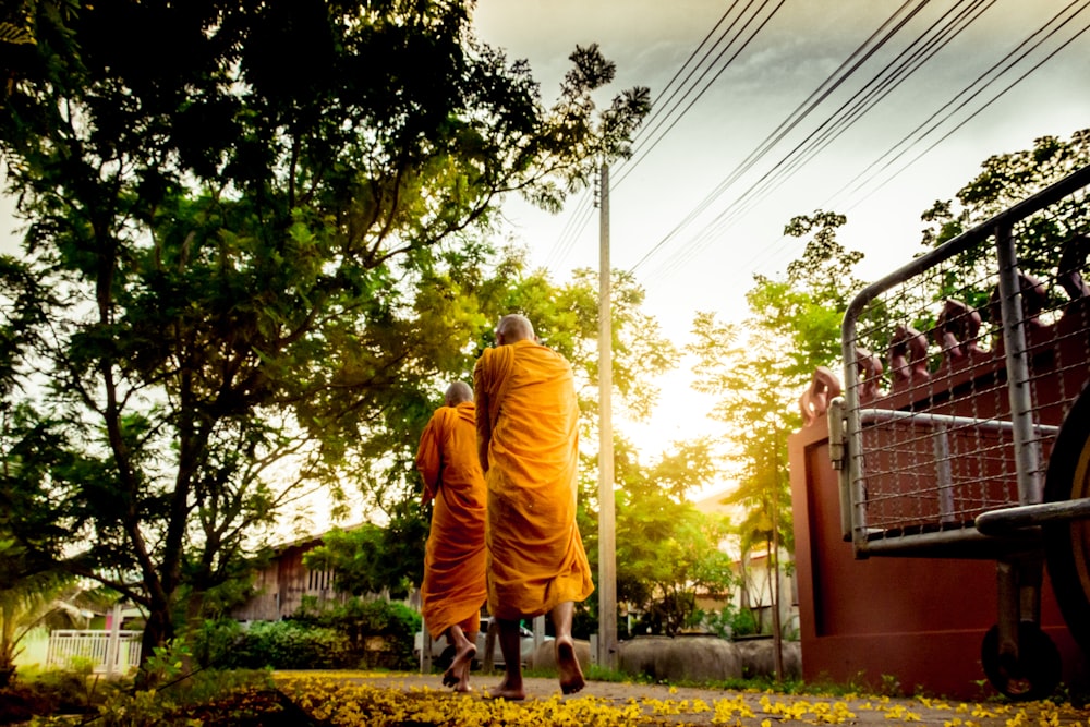 two men near trees