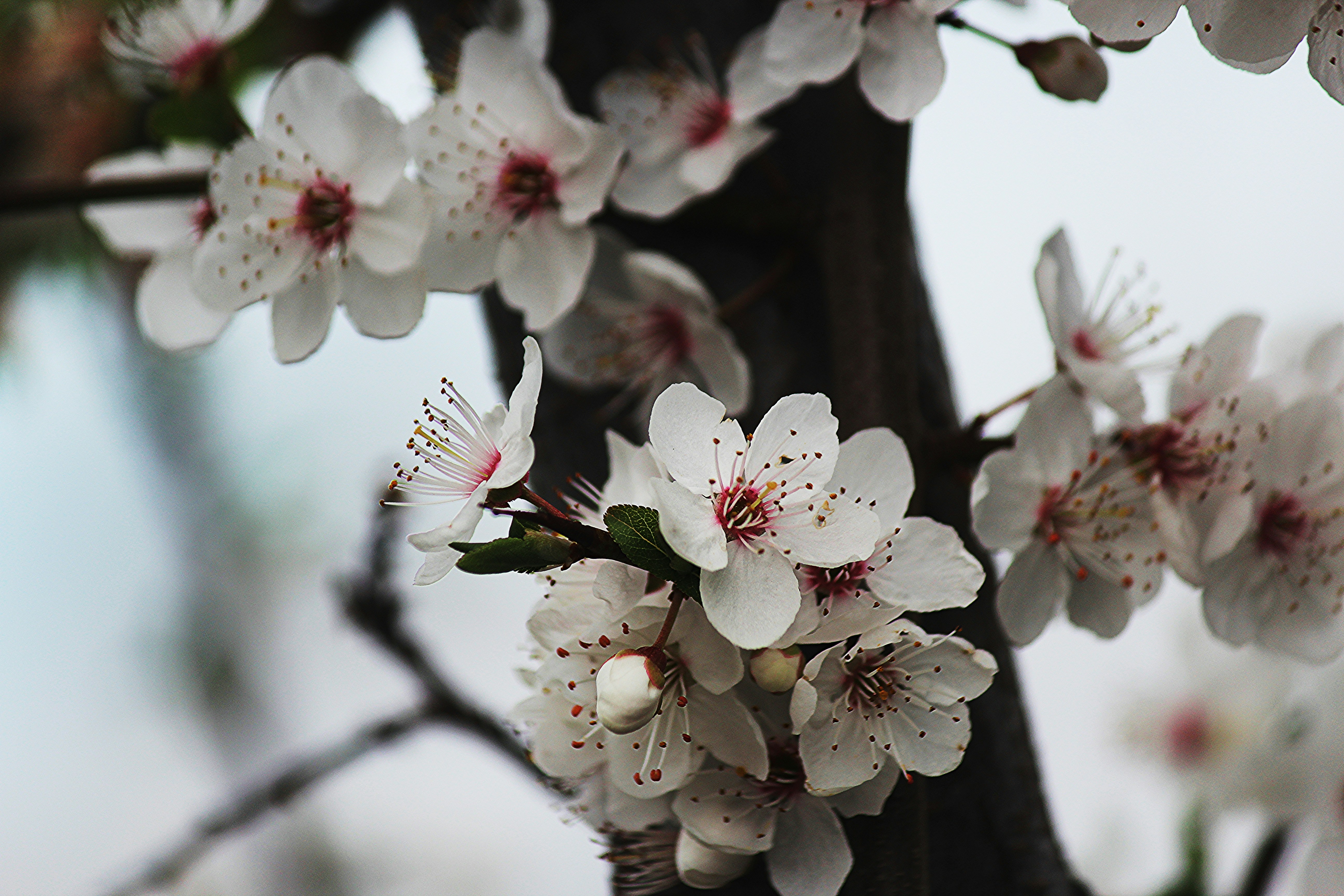 Photo by cassandra_correa