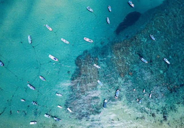 4-Day Luxury Itinerary for Quy Nhon, Vietnam