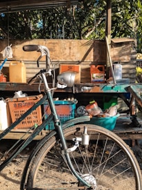 A vintage bicycle is parked against a rustic wooden shelf. The shelf holds various plastic containers, jars, and bottles, creating a cluttered yet colorful scene. The background features lush green foliage, suggesting an outdoor setting. Warm sunlight casts shadows, enhancing the textures and earthy tones.
