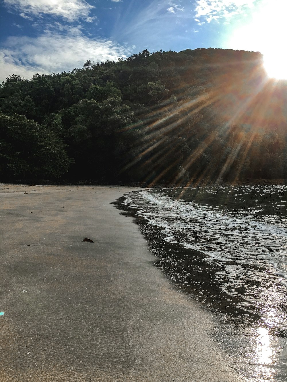 green hill near body of water