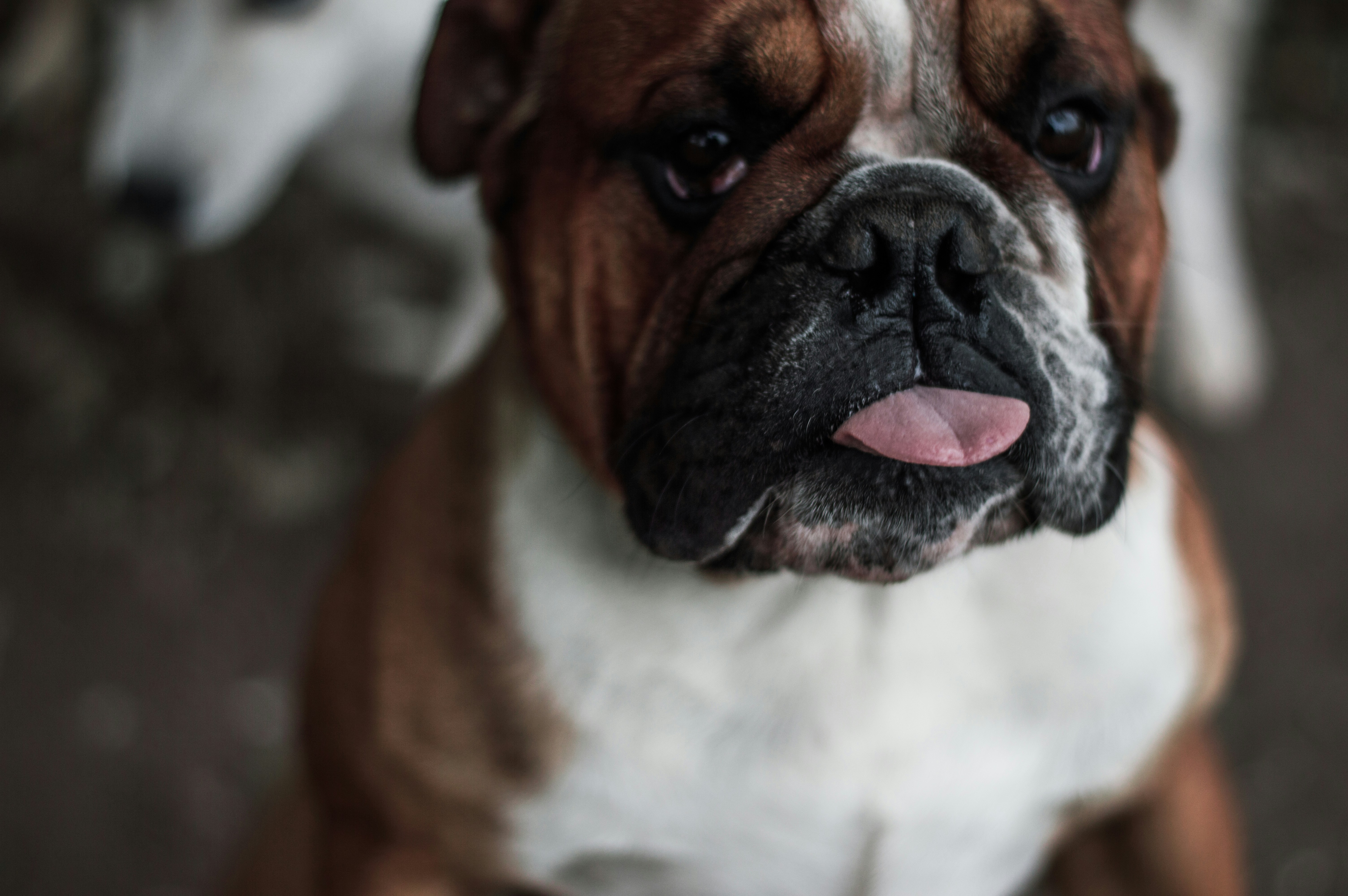 Photo by camilofierro14