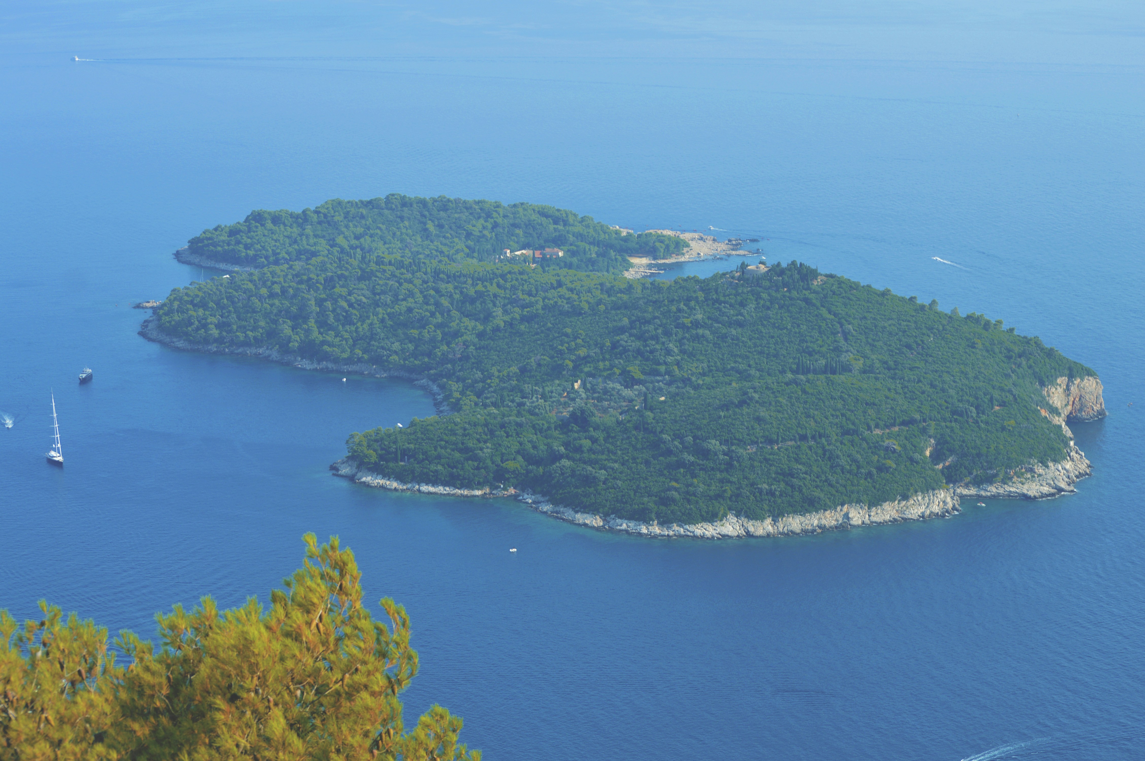 Photo by carolinakiran