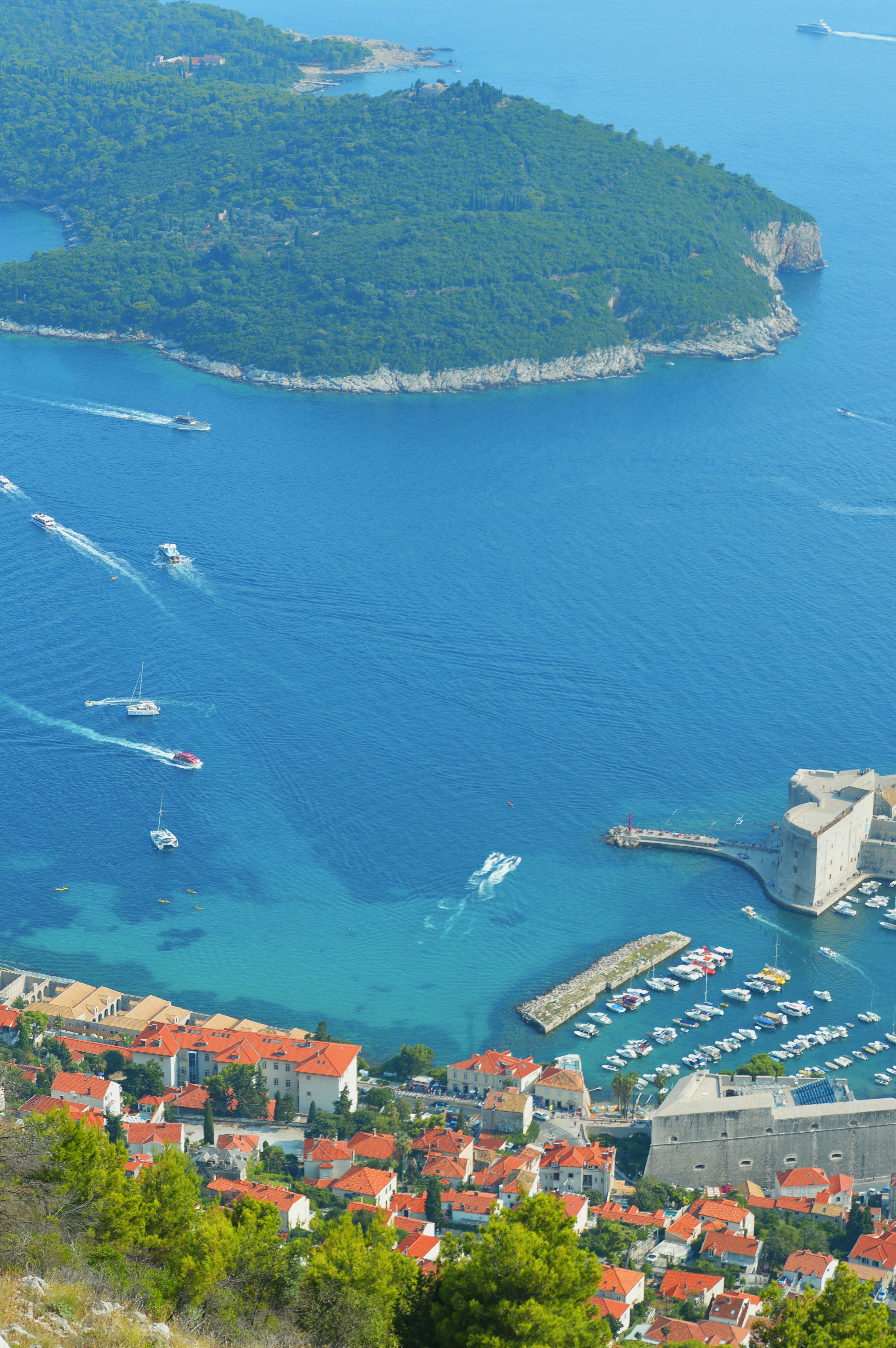 Photo by carolinakiran