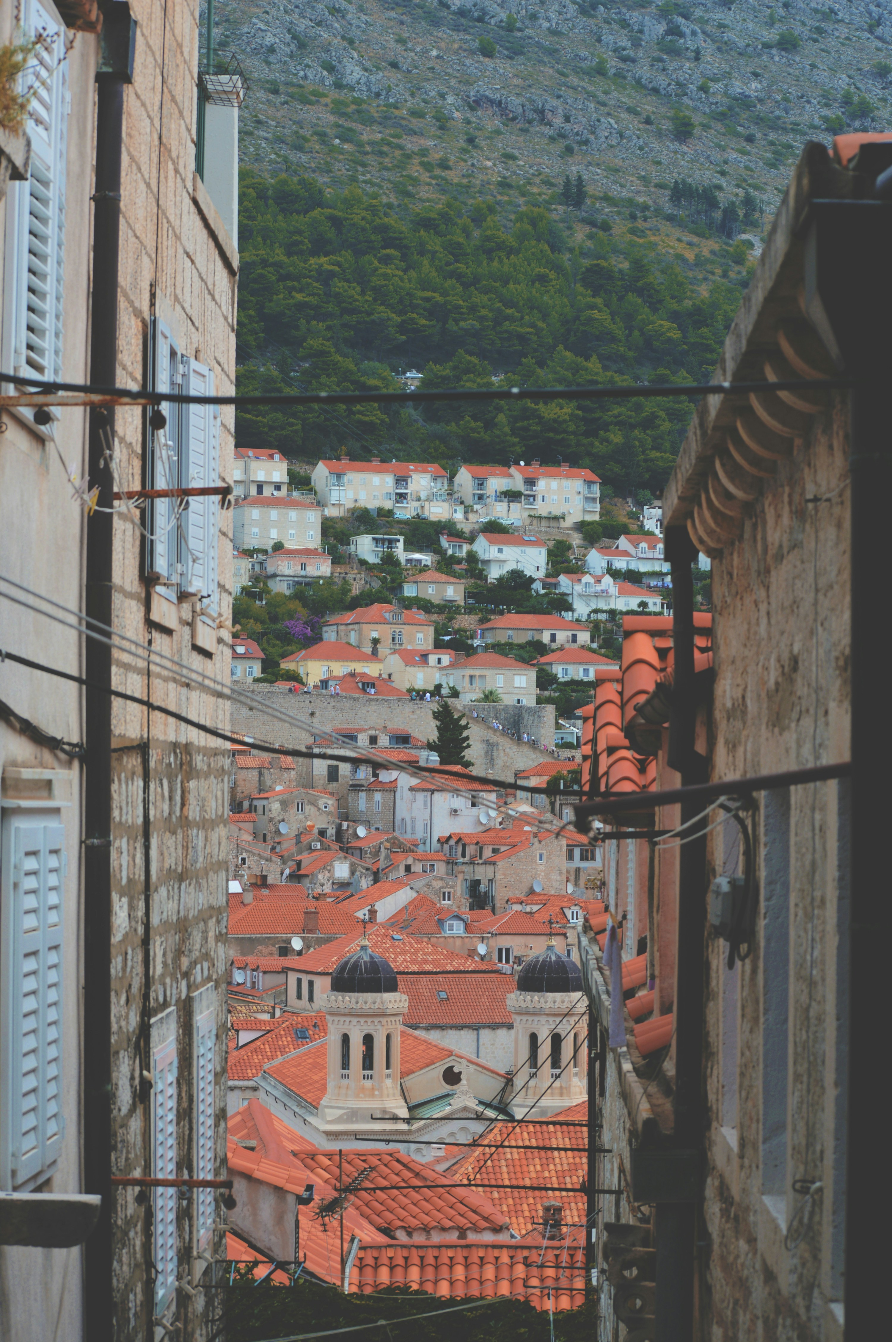 Photo by carolinakiran