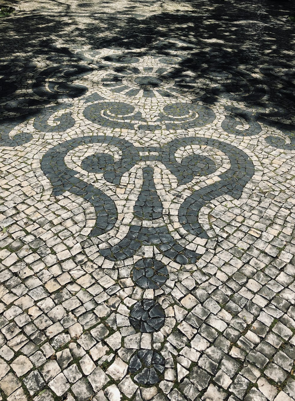 gray and lack mosaic pathway