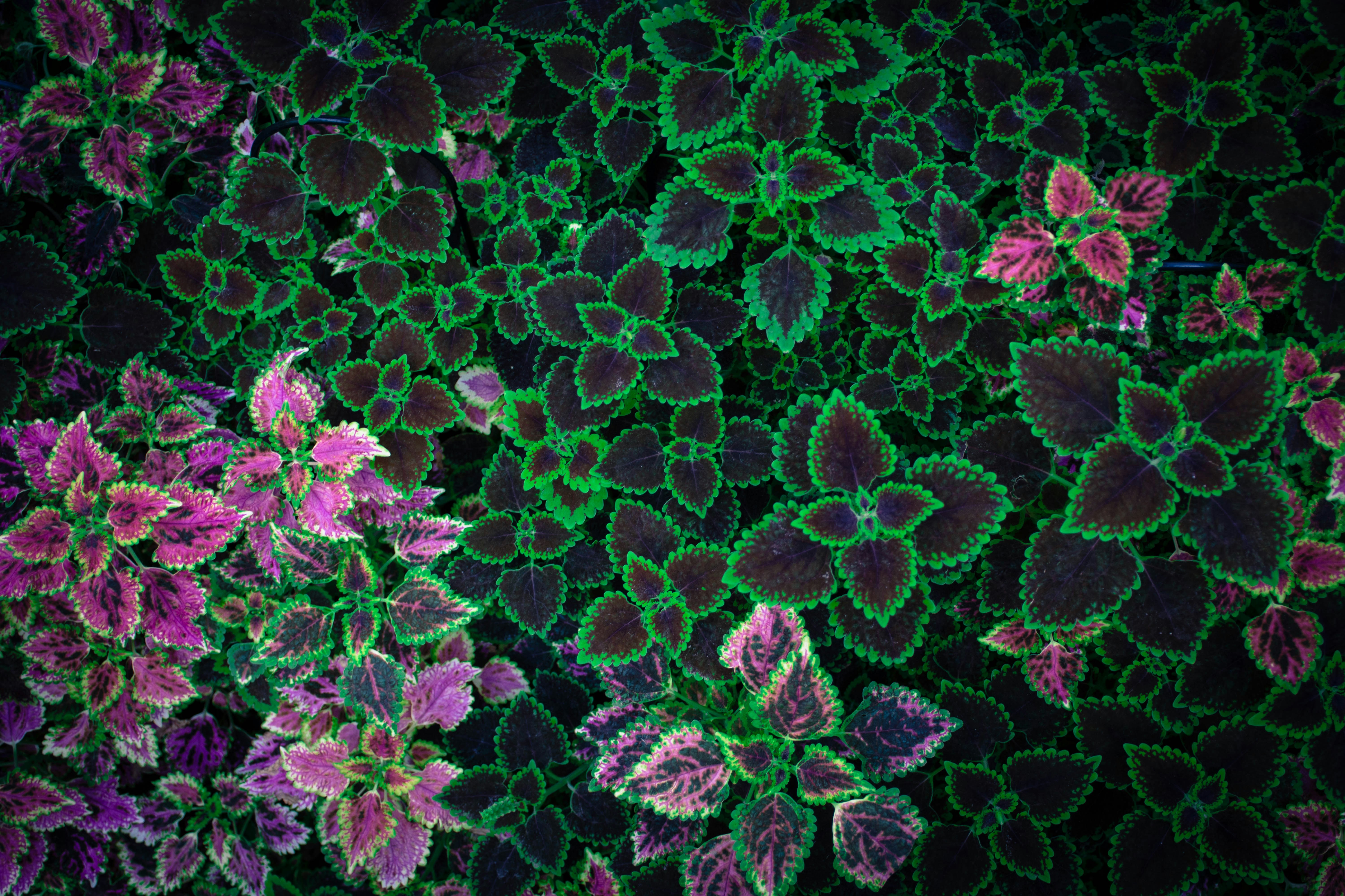 Photo by jayden_wong626