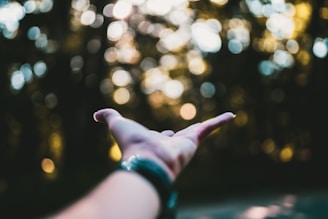 Soft focus image of a comforting hand reaching out over a misty forest background.