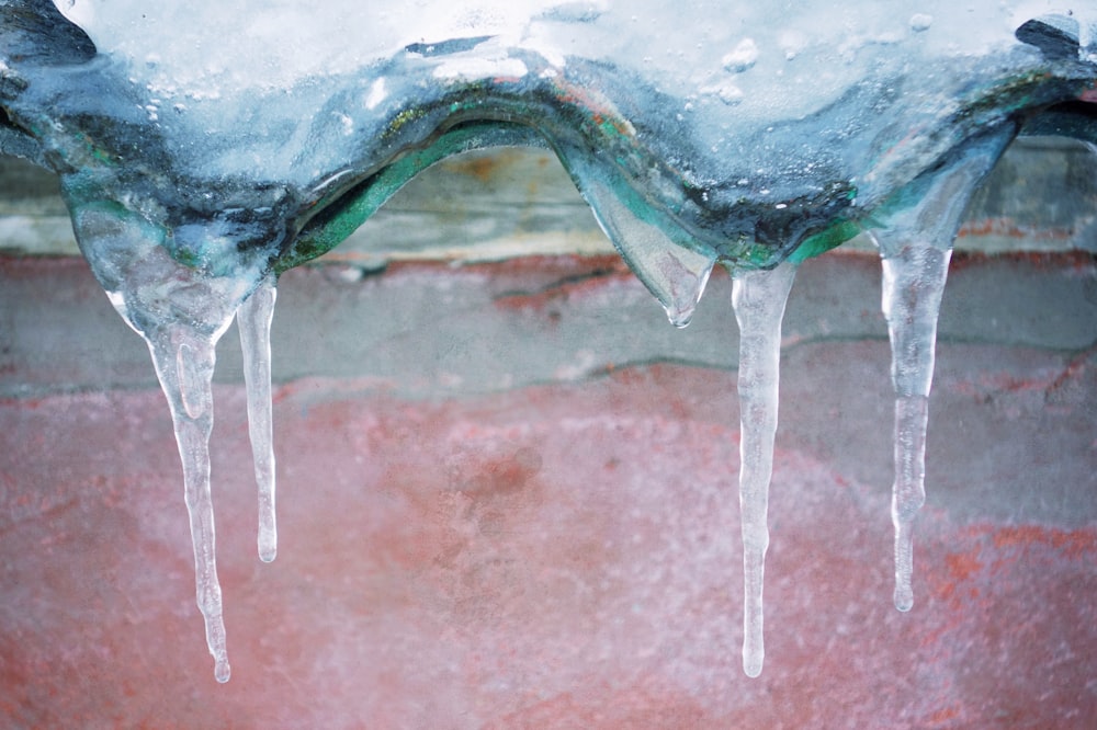 Fotografia de foco de Icicles