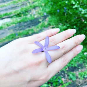 Hands with freshly manicured nails in pastel lilac shades holding a delicate flower.