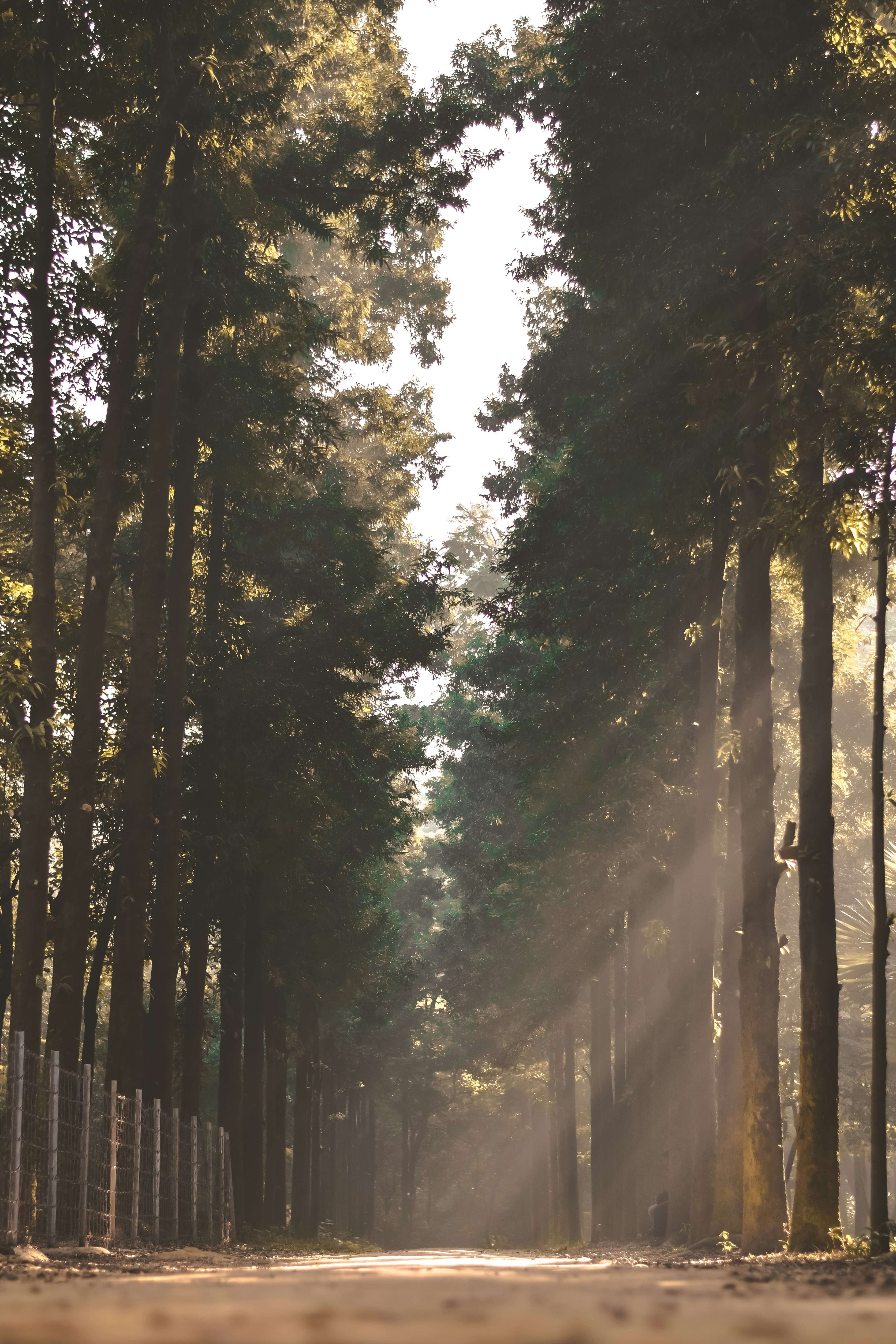 Photo by farhan_abid_001