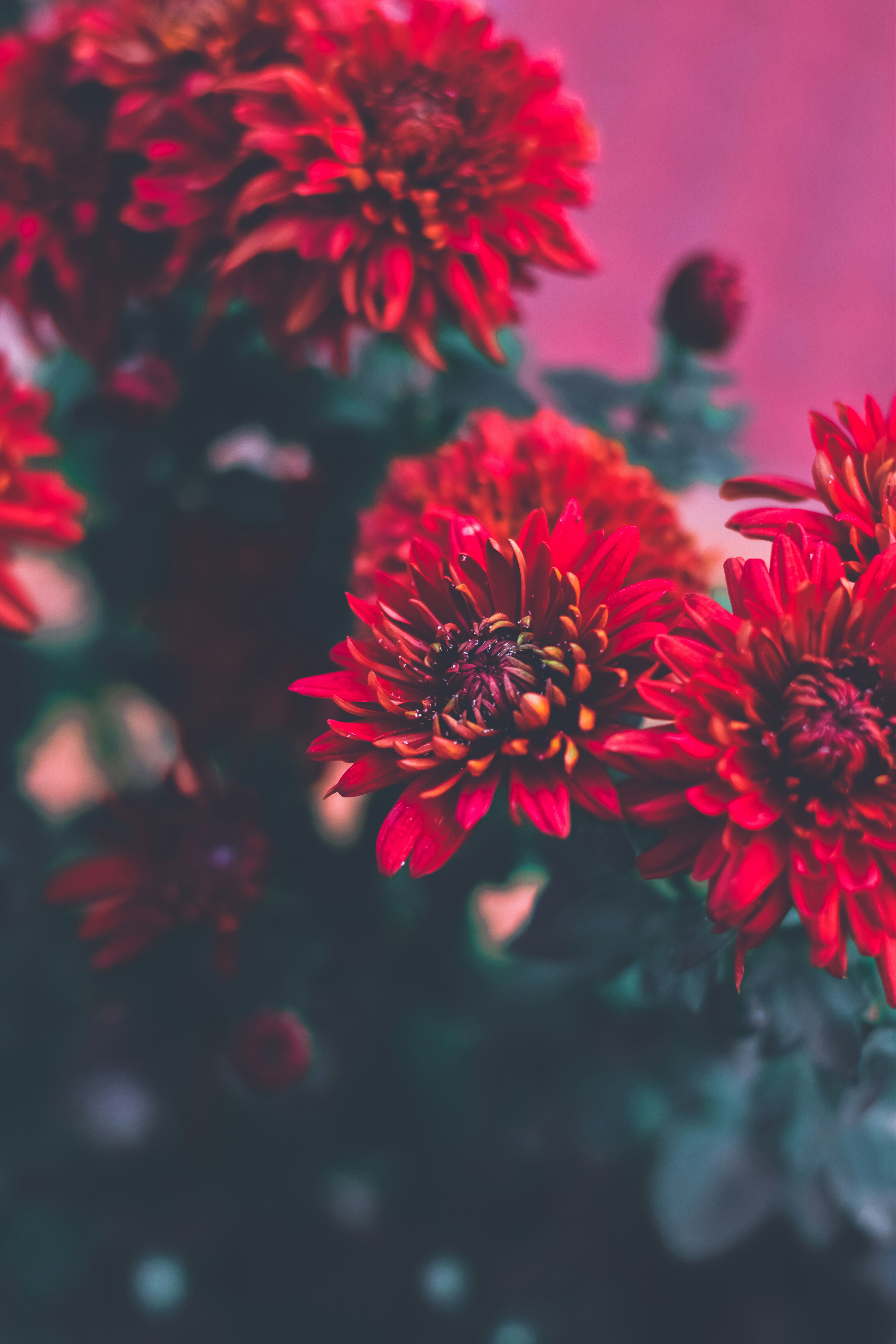 Photo by farhan_abid_001