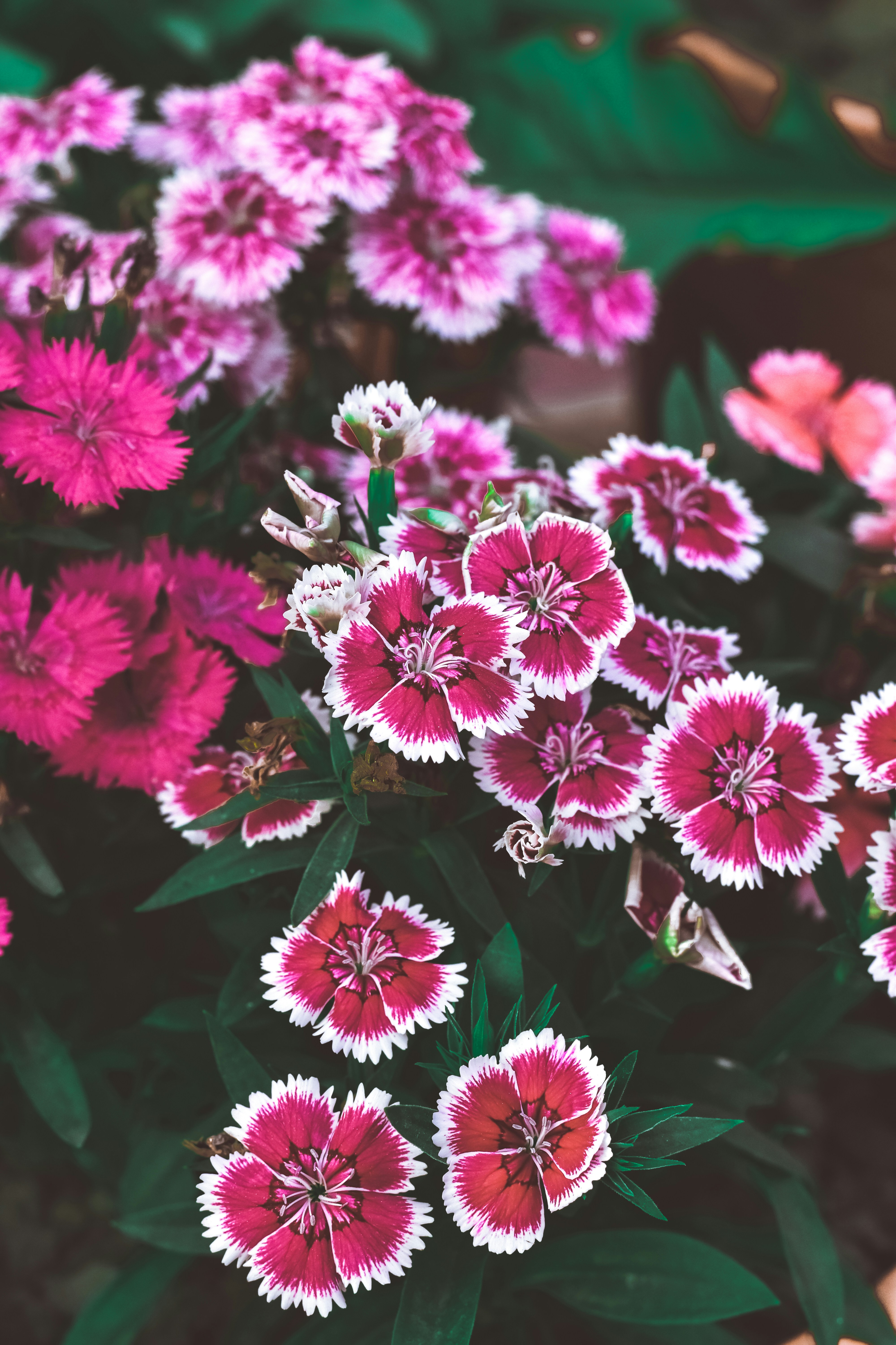 Photo by farhan_abid_001