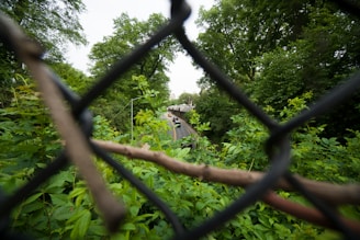 A chain-link fence is prominently featured in the foreground, with a view of a road running through lush, green foliage in the background. Several cars can be seen driving along the road, surrounded by dense trees.