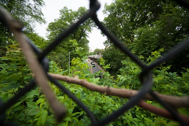 A chain-link fence is prominently featured in the foreground, with a view of a road running through lush, green foliage in the background. Several cars can be seen driving along the road, surrounded by dense trees.