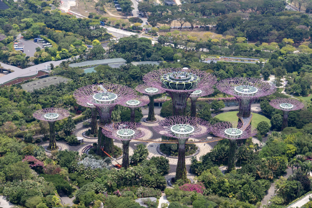 Supertree Grove