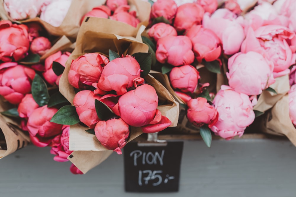 pink petaled flower