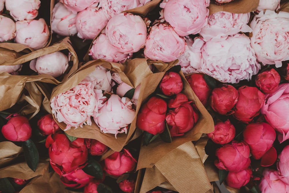 buquê de flores de pétalas cor-de-rosa