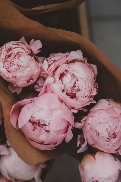 White and Pink Flowers in the Paper Bag · Free Stock Photo