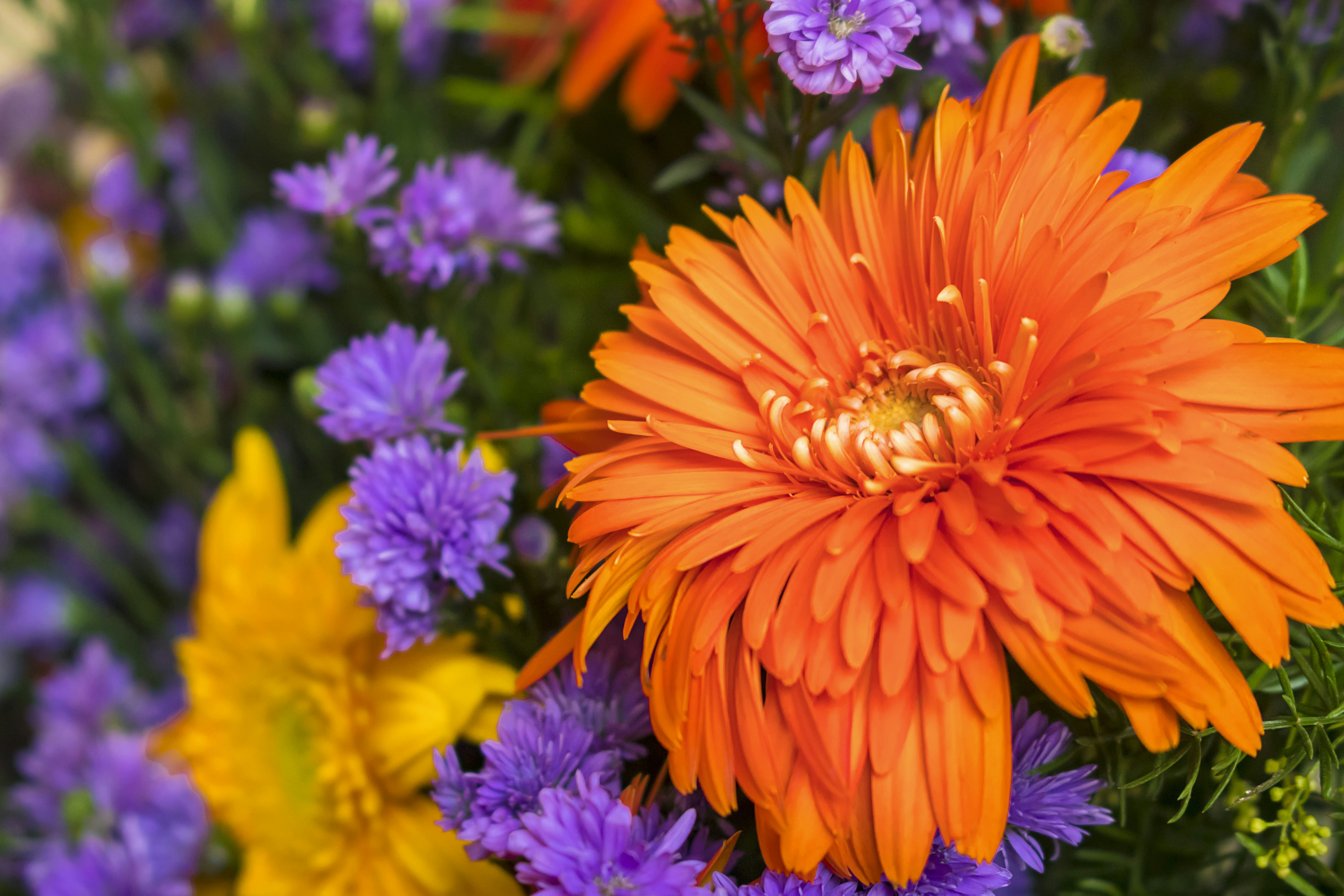 Photo by niceharish6u