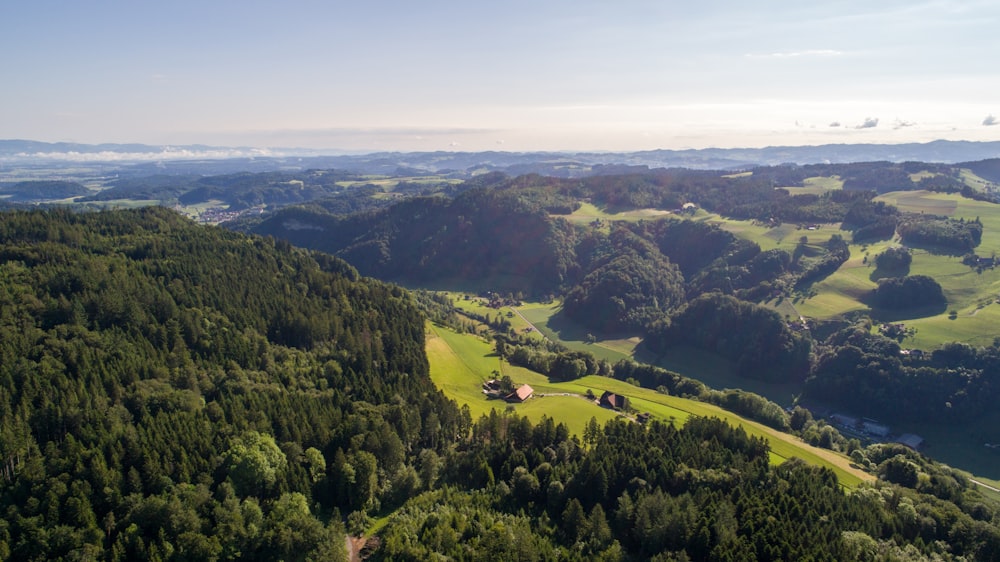 aerial photography of green field