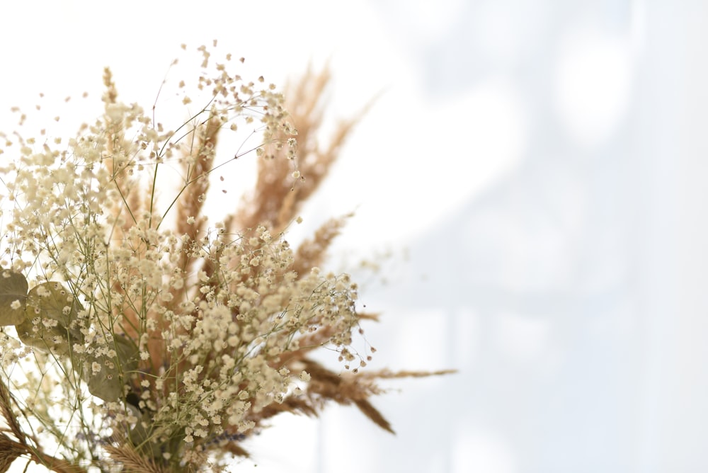 beige flower bouquet