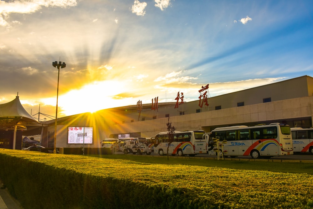 white buses near building