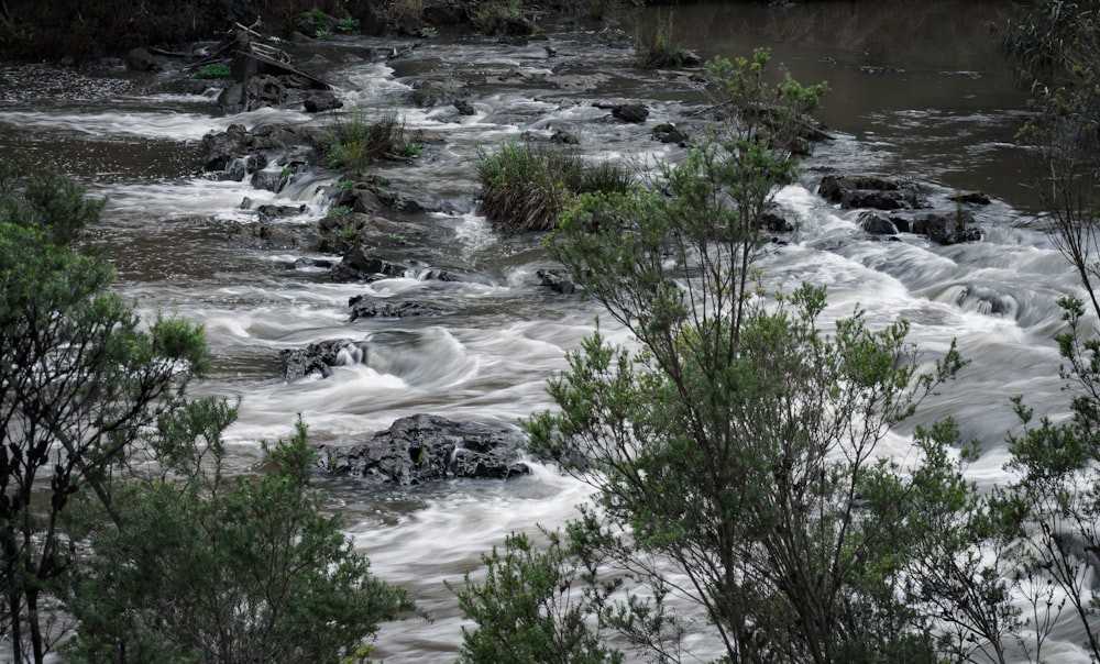 river and rock during daytime