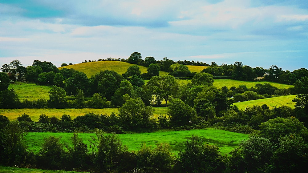 landscape photography of mountain with trees