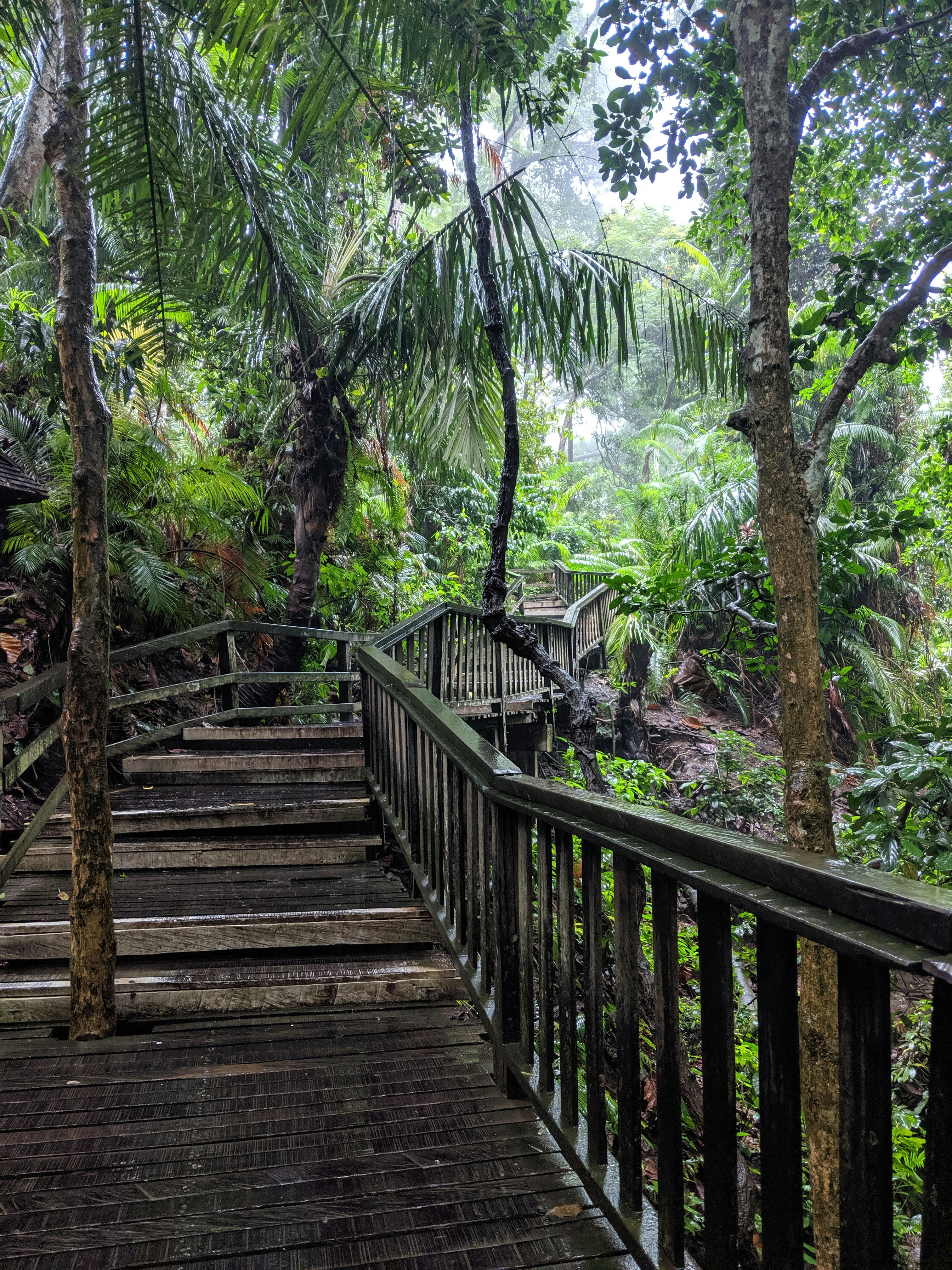 brown wooden bridge with handrails