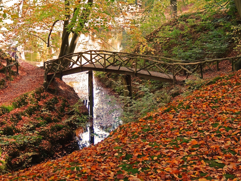 brown wooden bridge forest