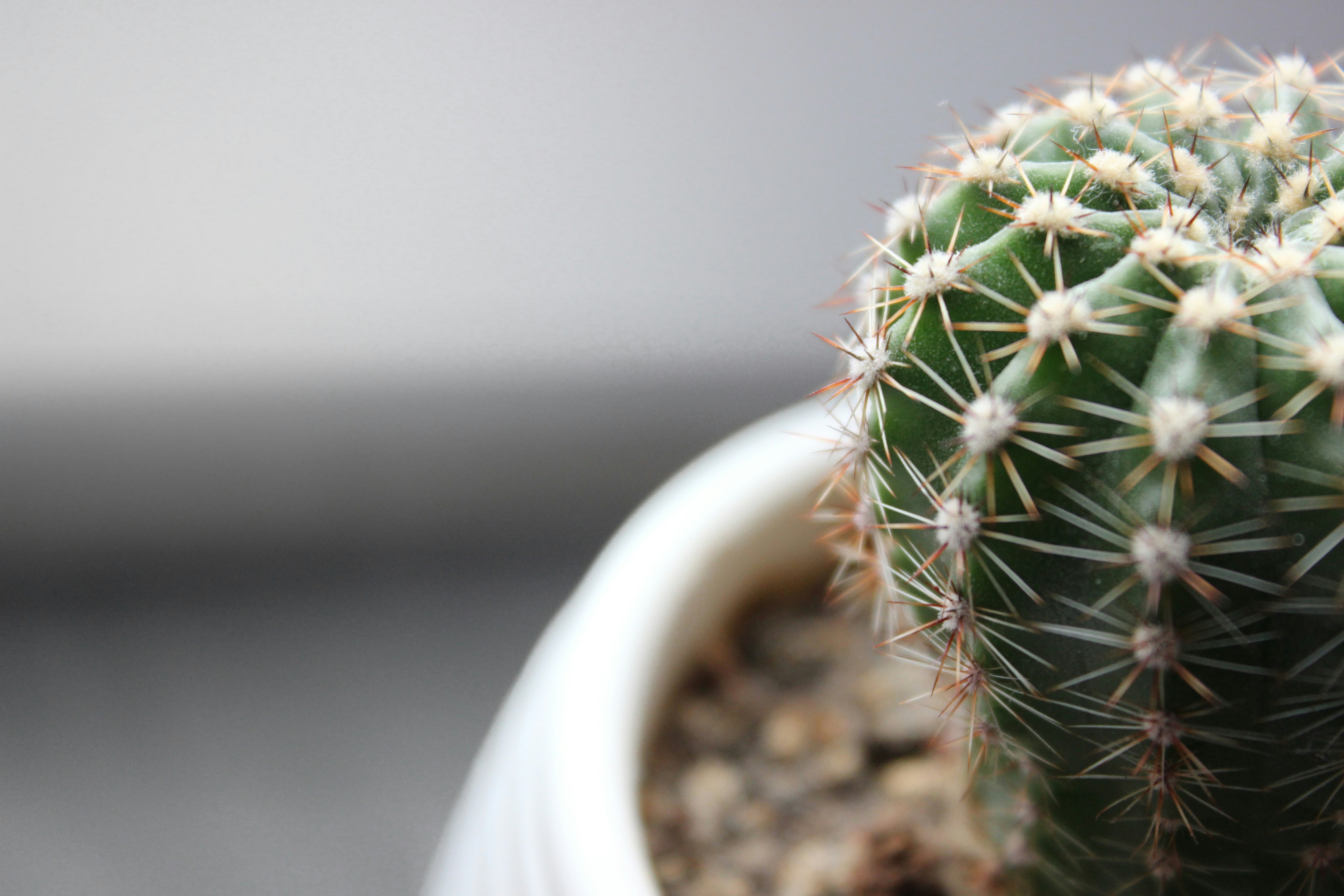 Photo by rabiakilinc