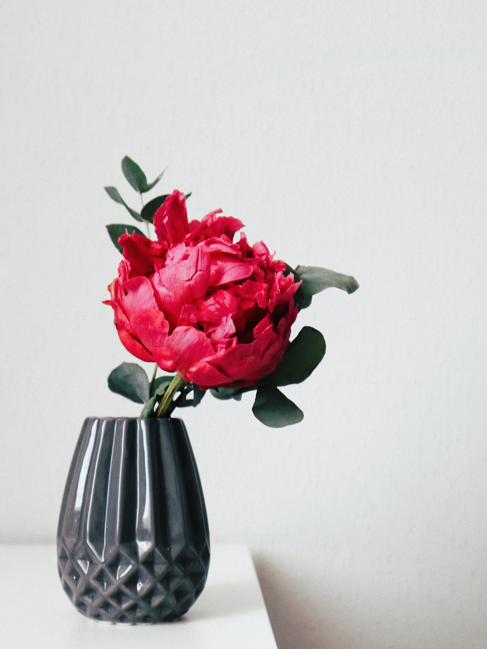 red petaled flower inside black vase