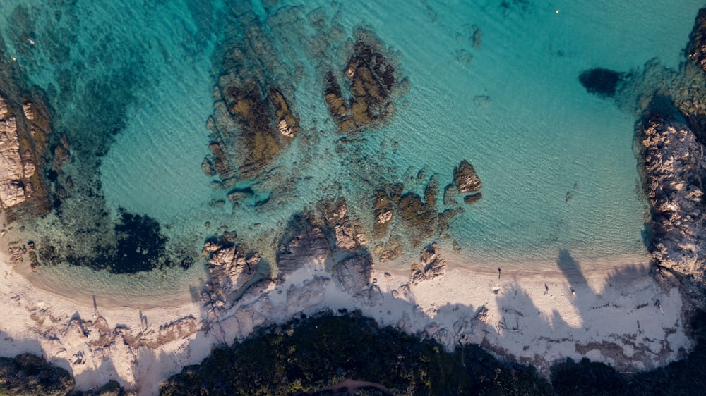 aerial photo of beach