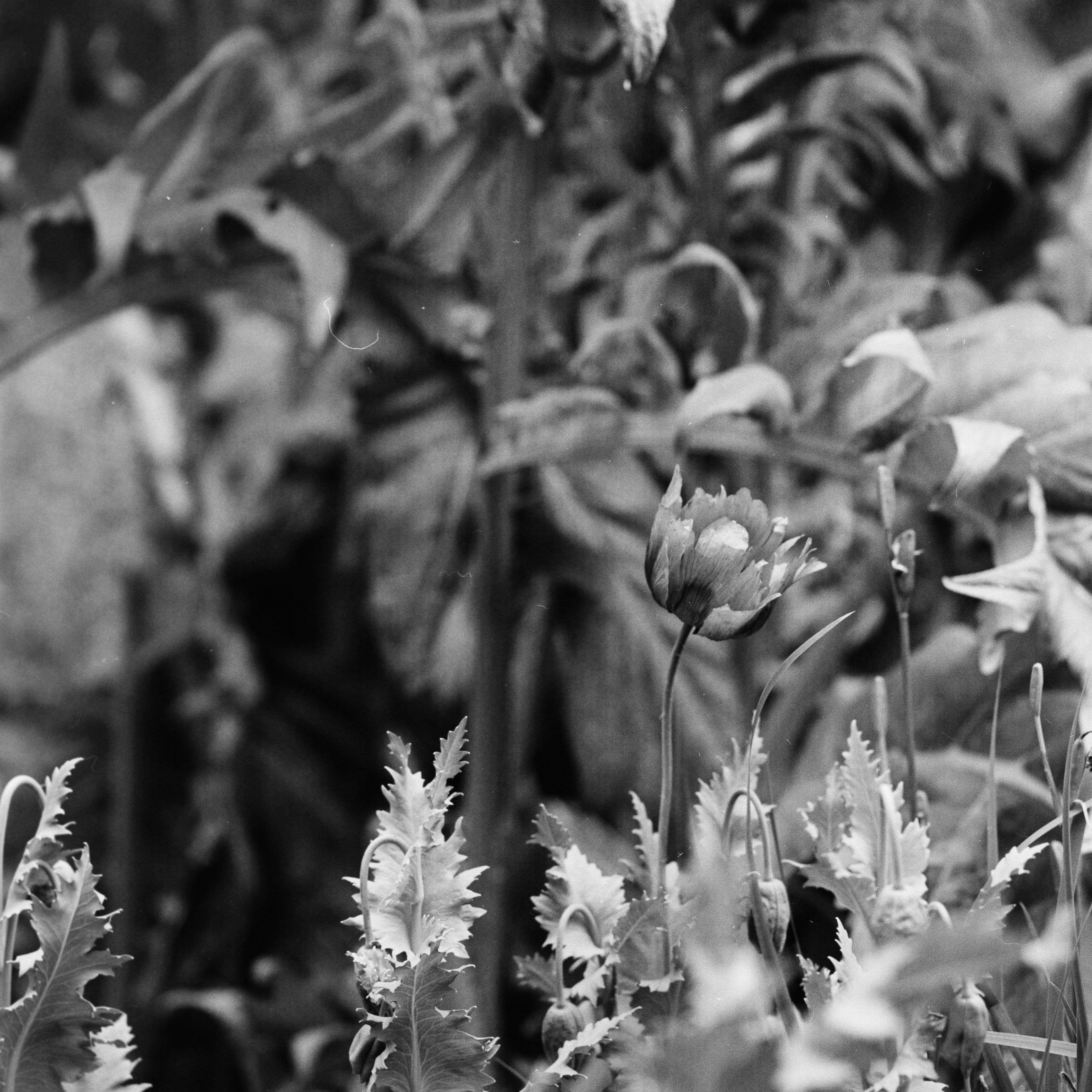 Photo by anniespratt