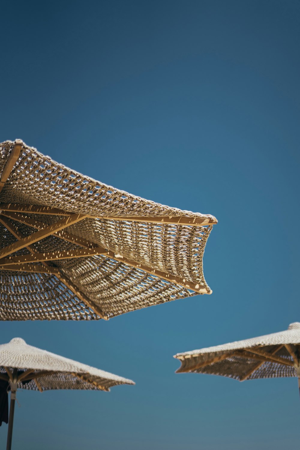 several brown parasols