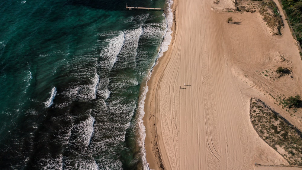 person walking on shore during daytime